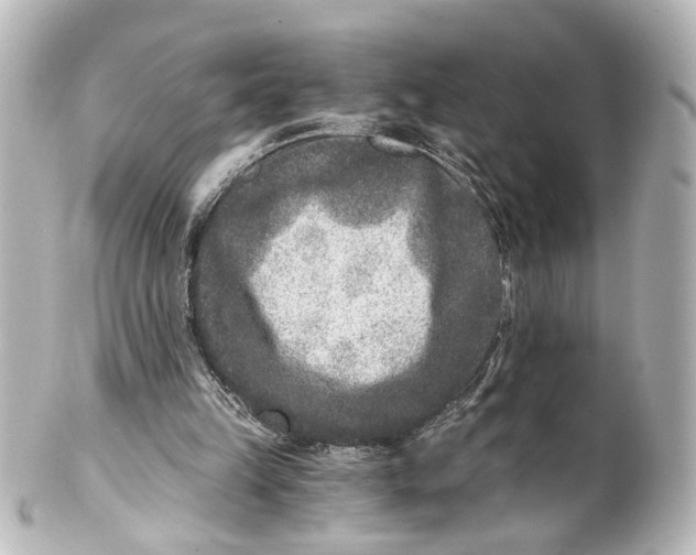 X0000101440149200807281030