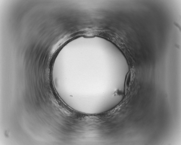 X0000101440150200807281030