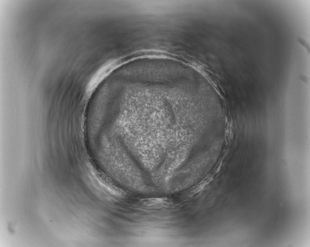 X0000101440151200807281030