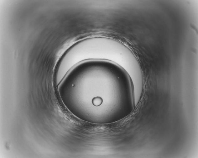 X0000101440152200807281030