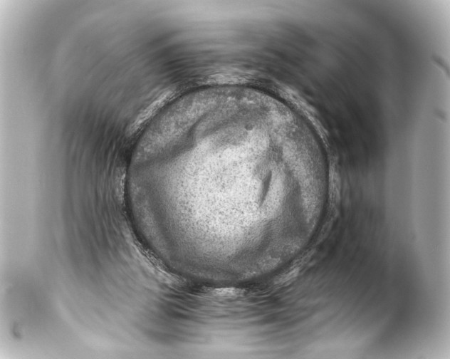 X0000101440153200807281030