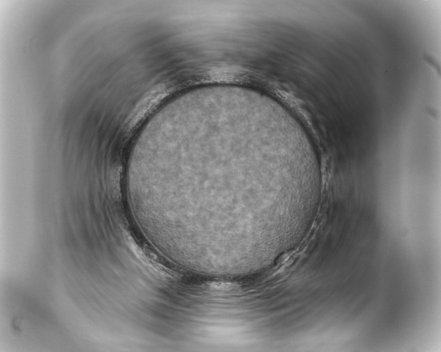 X0000101440154200807281030