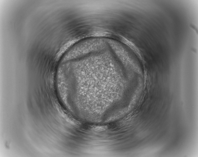 X0000101440155200807281030