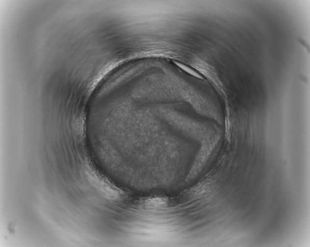 X0000101440156200807281030