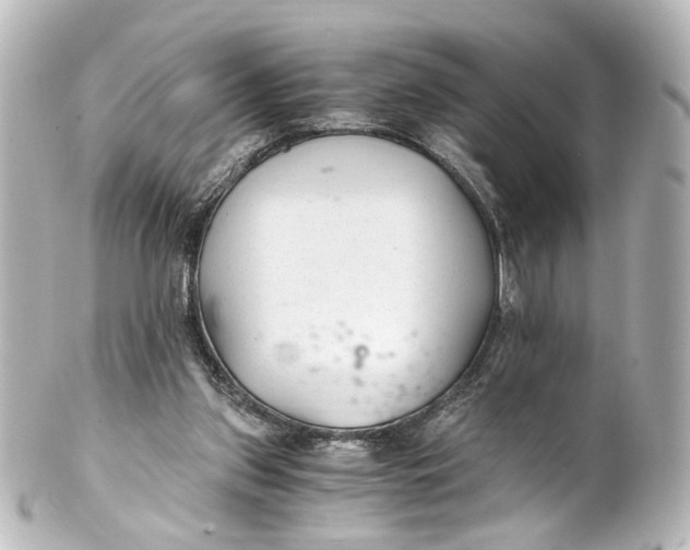 X0000101440157200807281030