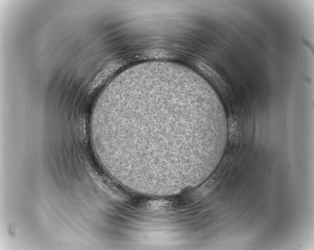 X0000101440158200807281030