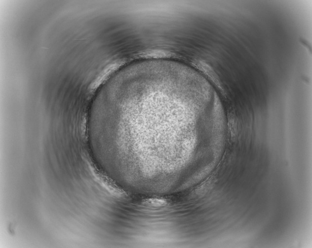 X0000101440159200807281030