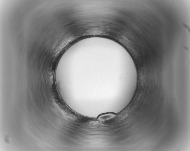 X0000101440160200807281030