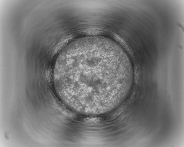 X0000101440161200807281030