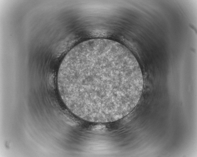 X0000101440162200807281030