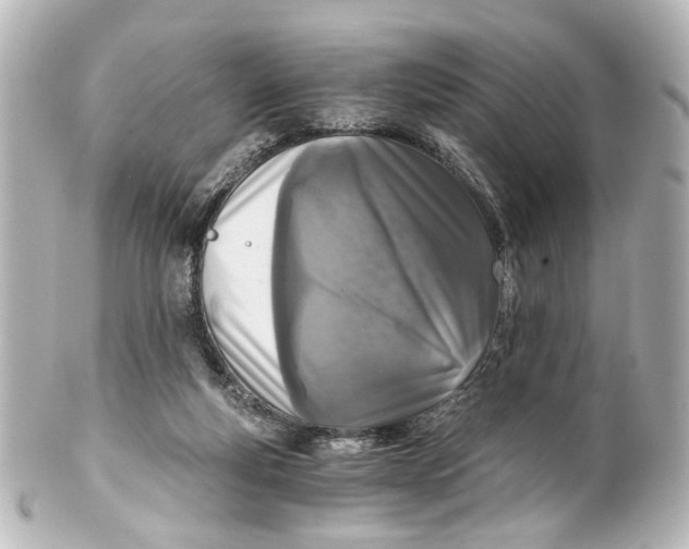 X0000101440163200807281030