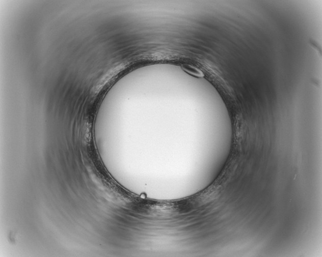 X0000101440164200807281030