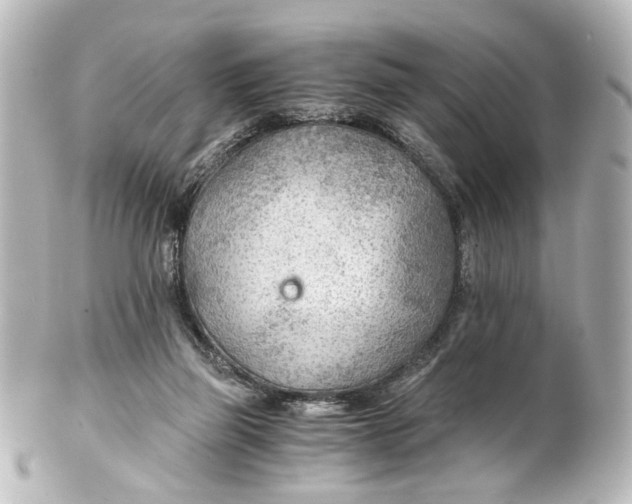 X0000101440165200807281030