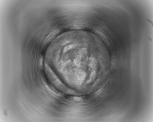 X0000101440166200807281030