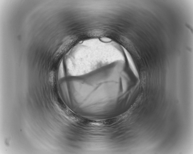 X0000101440167200807281030