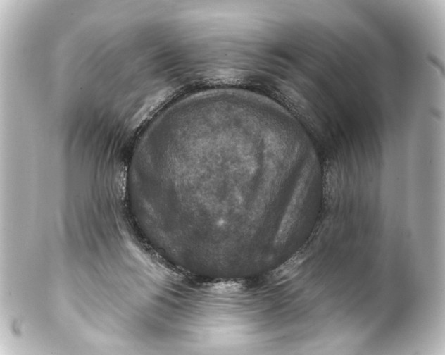 X0000101440168200807281030