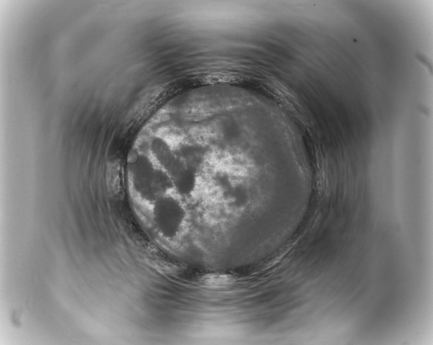 X0000101440169200807281030