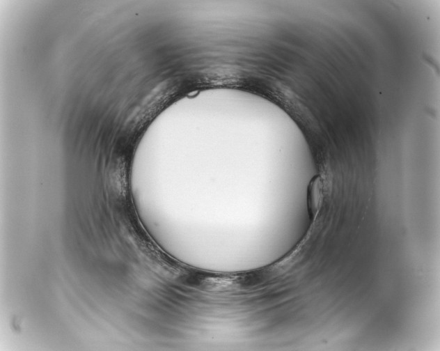 X0000101440170200807281030