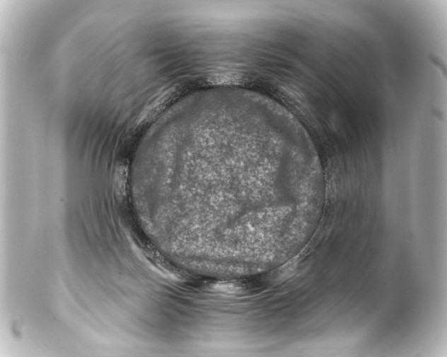 X0000101440171200807281030