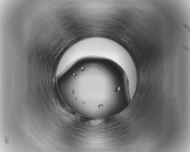 X0000101440172200807281031