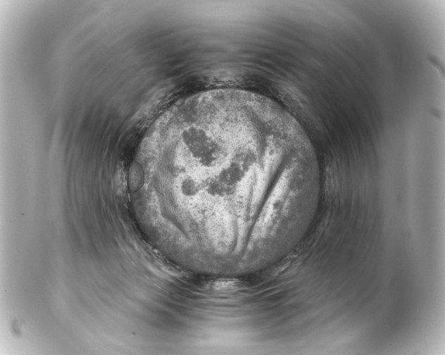 X0000101440173200807281031