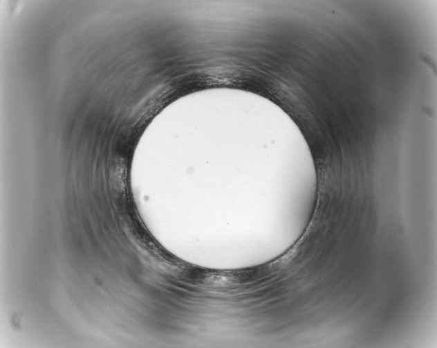 X0000101440174200807281031