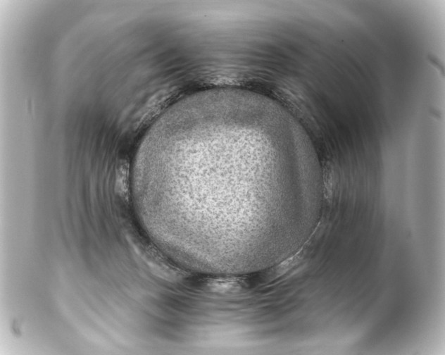 X0000101440175200807281031