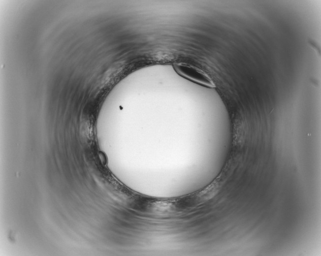 X0000101440176200807281031