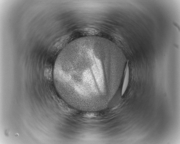 X0000101440177200807281031