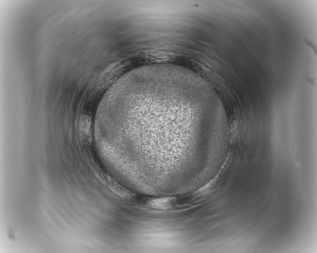 X0000101440178200807281031