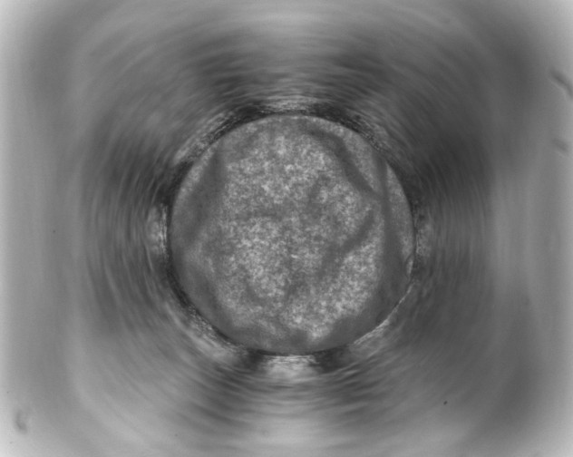 X0000101440179200807281031