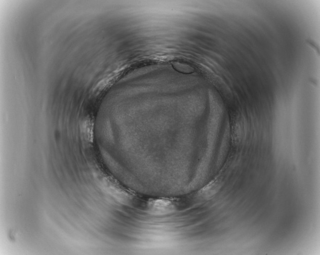 X0000101440180200807281031