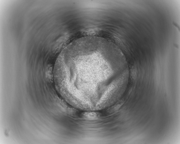 X0000101440181200807281031