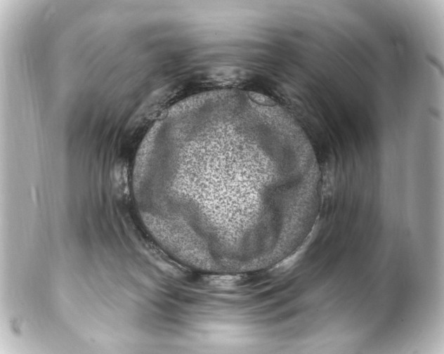 X0000101440182200807281031