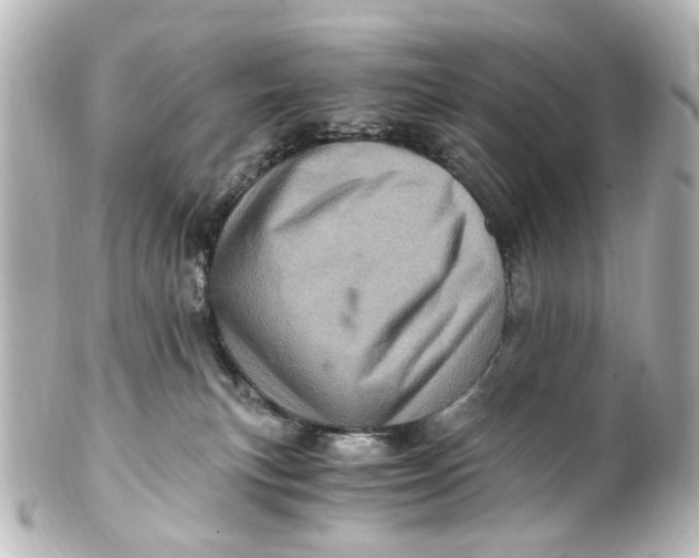 X0000101440183200807281031