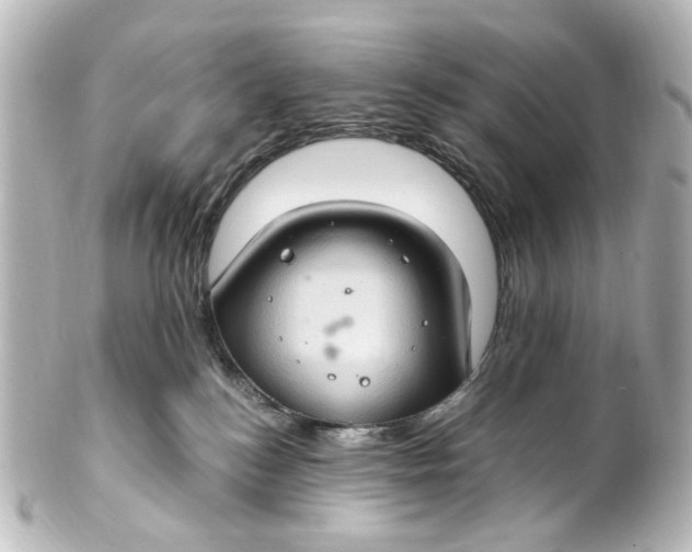 X0000101440184200807281031