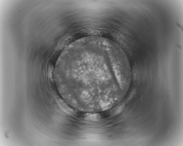 X0000101440185200807281031