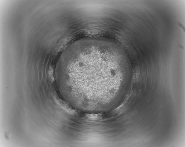 X0000101440187200807281031