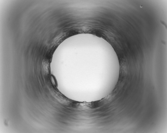 X0000101440188200807281031