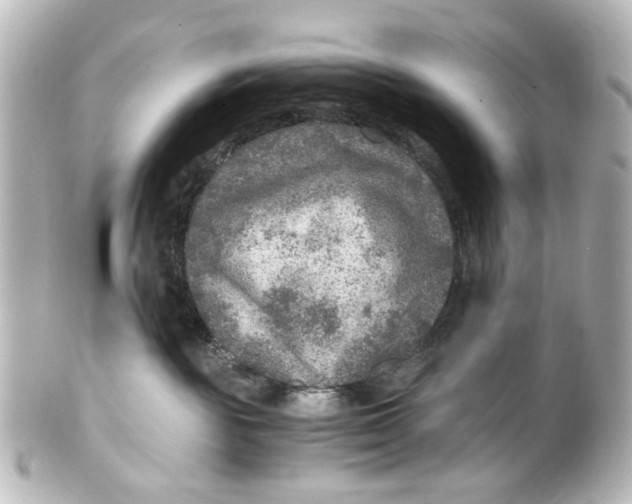 X0000101440189200807281031