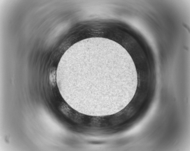 X0000101440190200807281031