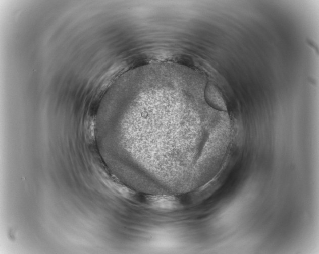 X0000101440191200807281031