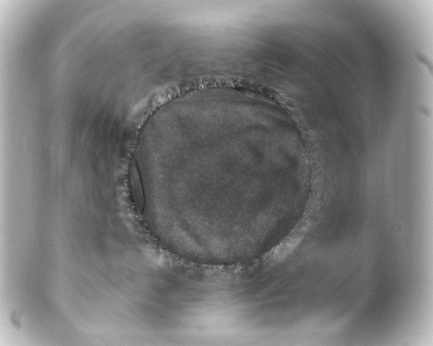 X0000101440192200807281031