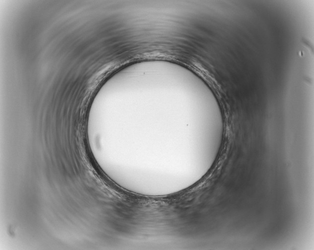 X0000101440193200807281030