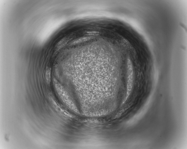 X0000101440194200807281030