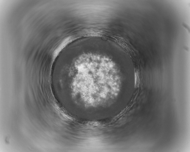 X0000101440195200807281030