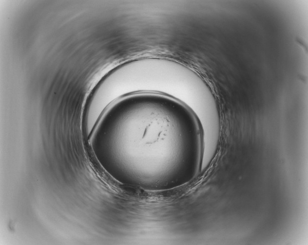 X0000101440196200807281030