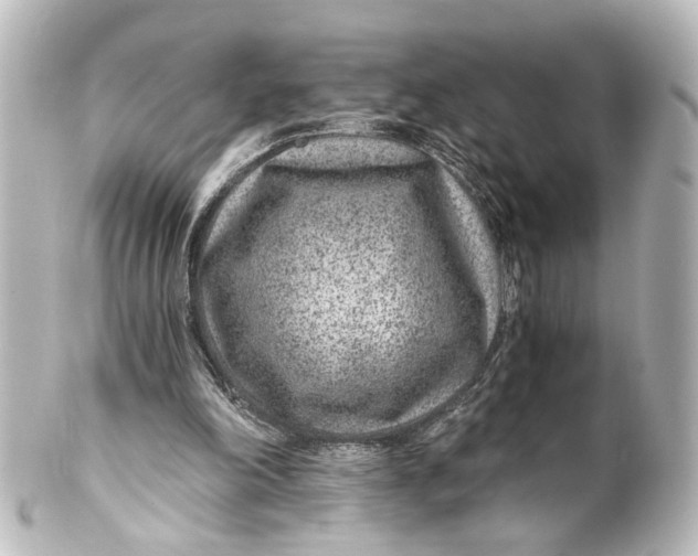 X0000101440198200807281030