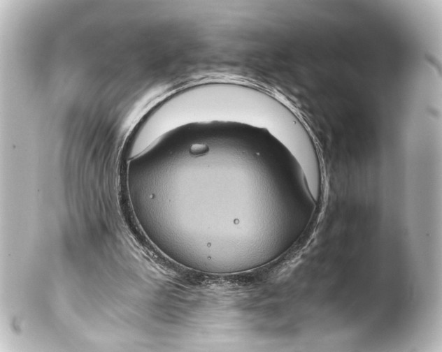 X0000101440199200807281030