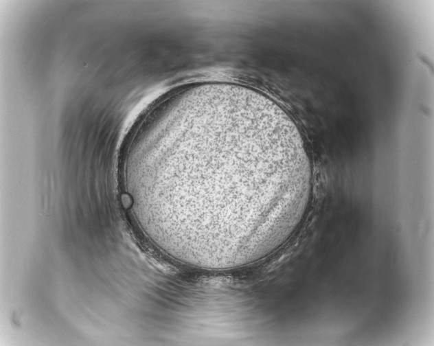 X0000101440200200807281030